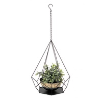 DanDiBo Ambiente DanDiBo Blumenampel Innen Metall Wand Hängepflanzen 76