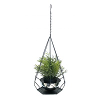 DanDiBo Ambiente DanDiBo Blumenampel Innen Metall Wand Hängepflanzen 59