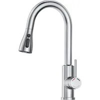 Srewohs pro Wasserhahn Spüle Küche mit Brause Ausziehbar -
