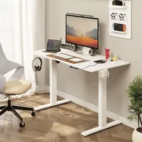 Mondeer Höhenverstellbarer Schreibtisch 120x60 cm, Elektrisch Ergonomischer Stehpult mit