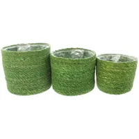 Frank Flechtwaren Dekokorb, Pflanzkorb Green 3er Set grün