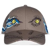 Difuzed Jurassic Park Snapback Cap Dinosaur