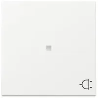 Gira Wippschalter Kontrollfunktion + Symbol 329103