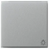 Gira Wippe Symb. Licht 328565