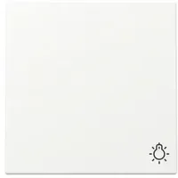 Gira Wippschalter 328527