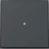 Gira Wippschalter 329067