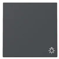 Gira Wippe Symb. Licht 328528
