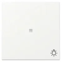 Gira Wippe Kontrollf. + Symb. 367427