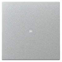 Gira Wippe Kontrollf. 329026