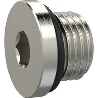 Riegler Verschlussschraube, Innensechskant 2,5 mm, M5, NBR O-Ring, MSN