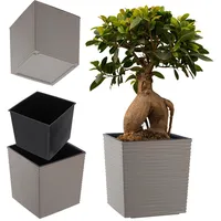 Kadax Blumentopf aus Kunststoff, mit Einlage, 19 cm, Grau