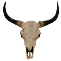 MCW Deko Schädel 64cm, Polyresin Stier Bulle Longhorn Kopf