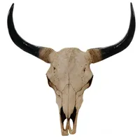 MCW Deko Schädel Longhorn 64 cm Natur