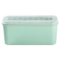 Bongusto Eiswürfelform - BHT 25x11x11 cm