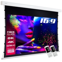 ESmart Expert XTS Tension Leinwand Grau 221 x 125