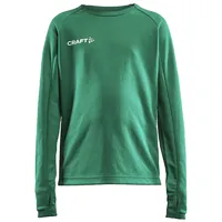 Craft Evolve Crew Neck Trainings-Top Kinder 651000 team green