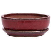Bonsai-Shopping Bonsai - Schale oval 21.5 x 16.5 x