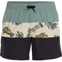 O'Neill MIX & Match Cali block 15'' swim shorts