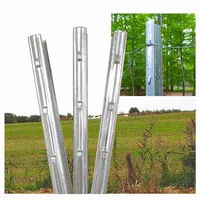 Trutzholm Z-Profil Zaunpfosten 215 cm verzinkt 20x Zaunpfähle inkl.