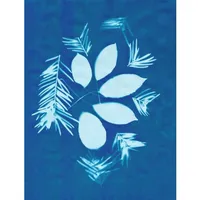 Astromedia Das Solar-Fotopapier (21,5x28cm), 10 Blatt