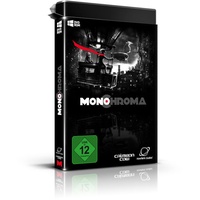 Flashpoint Monochroma (PC)