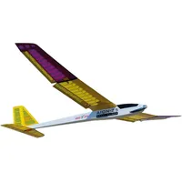 PICHLER Aion Segler / 2500 mm Holzbausatz (Segelflugzeug)
