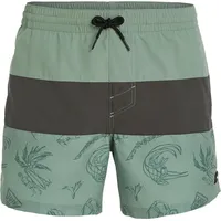 O'Neill Badeshort Mix & Match Cali block 15'' swim