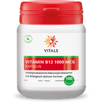 Vitals Vitamin B12 1000 mcg (Methyl-/Adenosylcobalamin)