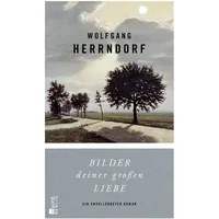 Rowohlt Berlin Bilder deiner großen Liebe