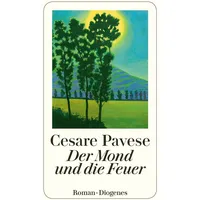 Diogenes Verlag AG Der Mond und die Feuer