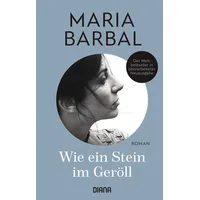 Diana Wie ein Stein im Geröll