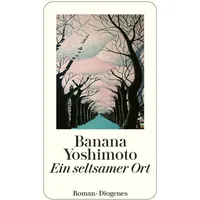 Diogenes Verlag AG Ein seltsamer Ort