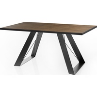 WFL GROUP Esstisch Colter Schwarz im Modern Still, Rechteckig