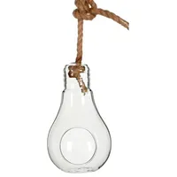NaDeco Pflanzenglas Glühbirne zum Hängen - 15cm Ø9cm Tillandsien