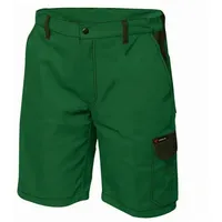 CRAFTLAND Twill-Shorts WESTERLO - grün;schwarz -