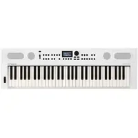 Roland GO:KEYS 5 61 Tasten Keyboard