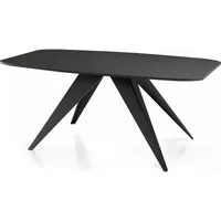 WFL GROUP Esstisch, Schwarz, Holzwerkstoff, Rechteckig,Rechteckig, 80x76x160 cm, Esszimmer,