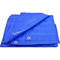 Awtools Blaue Plane 10 m x 12 m