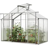 Gfp Gewächshaus Orchidee 2 Alu-Rahmen 256 x 131 cm