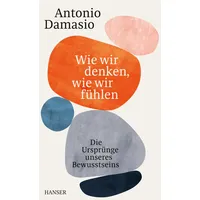 Carl Hanser Verlag Wie wir denken, wie wir fühlen