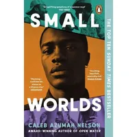 Penguin Books Ltd (UK) Small Worlds