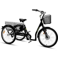 Sachsenrad T3A Trio Edition 2024 mit Alarmanlage