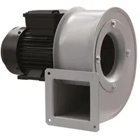 Maico Radialgebläse GRM HT 10/2 Baugröße 100, 0,09 kW