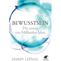 Klett Cotta Bewusstsein