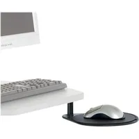Ergotron Swing Out Mouse Shelf Black, Maus + Tastatur