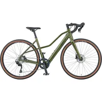 Prophete Graveler 1.0 Damen Grün Metallic Glanz 28 Zoll