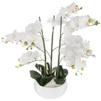 Atmosphera Créateur d'intérieur Kunstblume Orchidee in beige | Gr.: