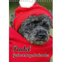 Calvendo Pudel / Geburtstagskalender (Wandkalender immerwährend DIN A4 hoch):