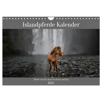 Calvendo Islandpferde Kalender - Pferde von der Insel aus