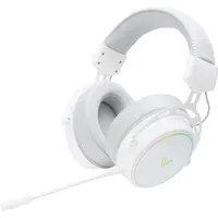 Rapoo VH800,